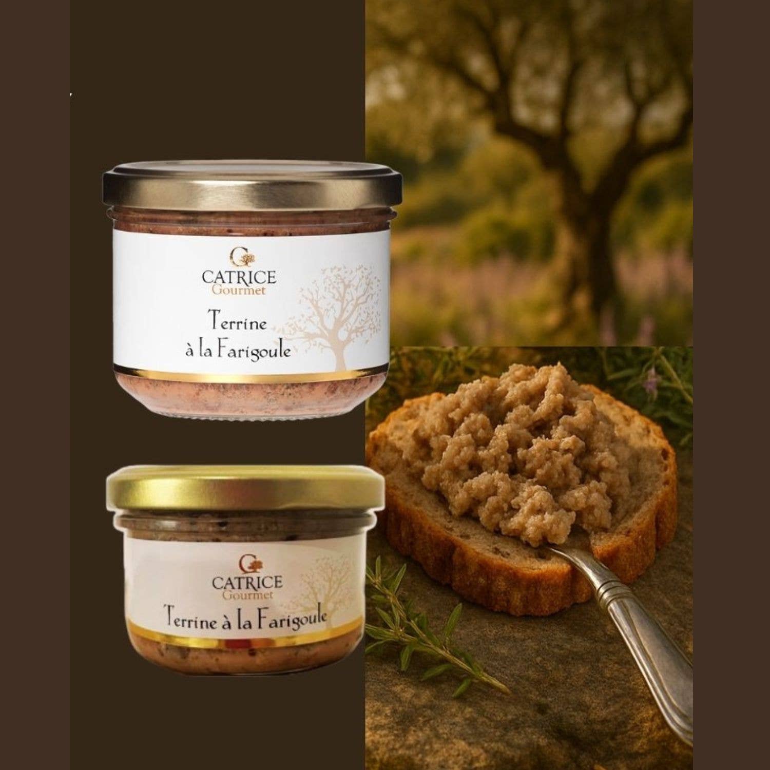 CATRICE GOURMET - Wholesale Tapenade - Provençal Terrine - Terrine with Thyme 100g2