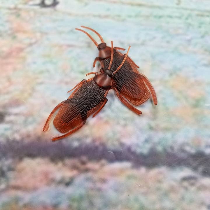 MIAS SHOP - Wholesale Prank/Gag Gift - Simulated Cockroach Insect Prank Toy1