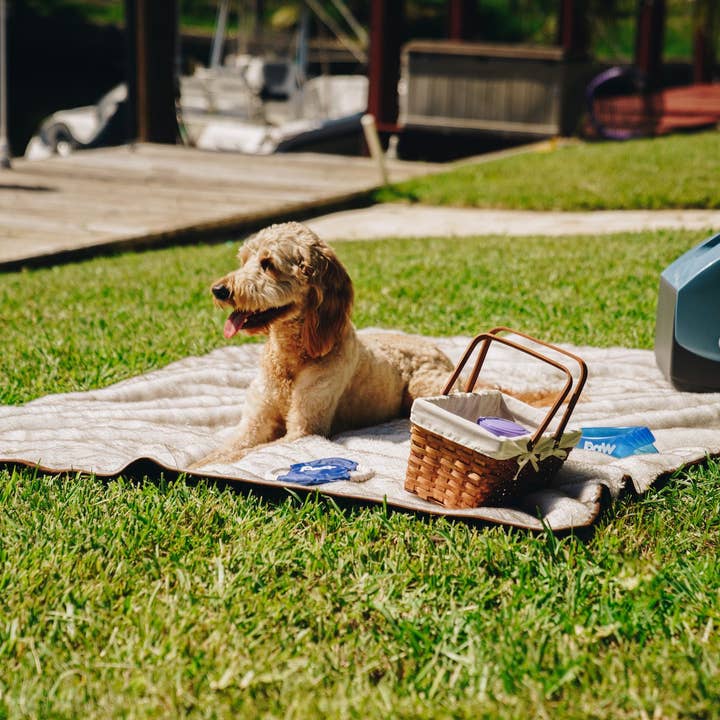 Paw Brands - Wholesale Pet Blanket - Dog - PupProtector™ Short Fur Waterproof Throw Blanket - White with Brown Accents3