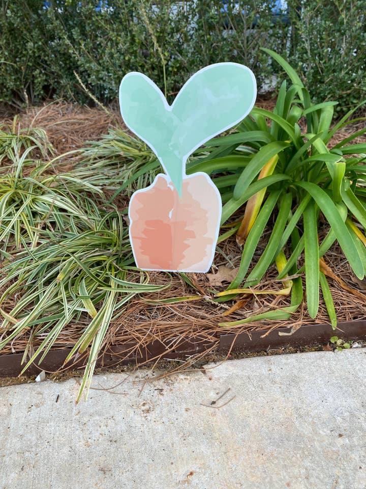 Karottenoberteil für den Großhandel von Lovely Reese