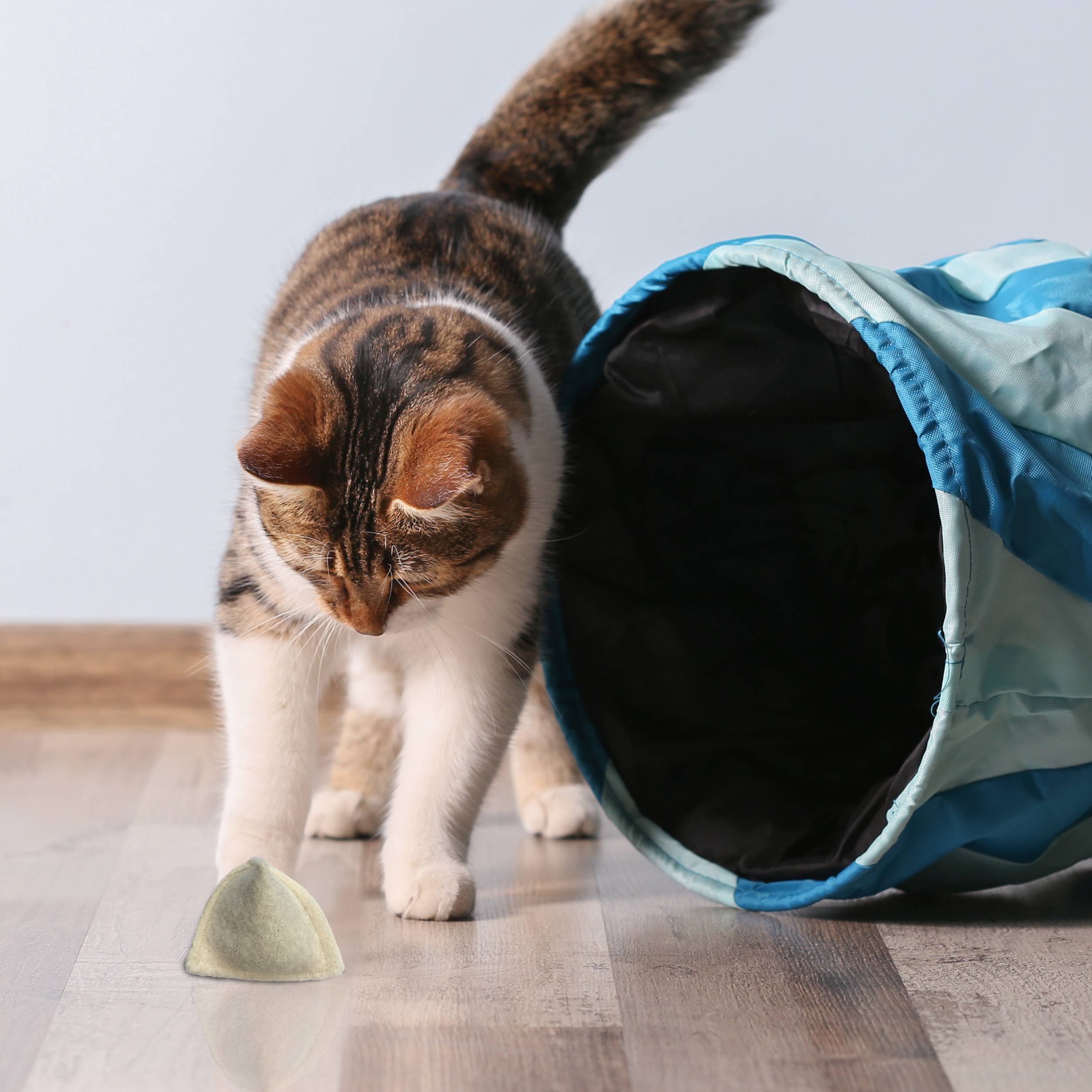 Kater Kasimir - Wholesale Pet Toy - Cat - Cat toy made of virgin wool: worms and mint pillows5