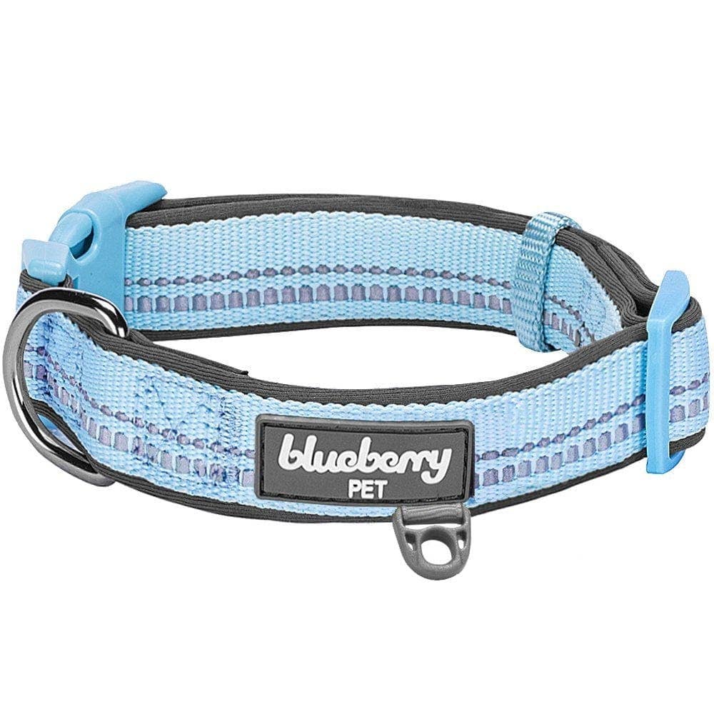 Blueberry Pet - Vente Collier – chien - Collier de sécurité rembourré en néoprène souple réfléchissant 3M44
