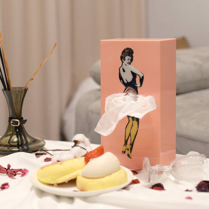 Beyond123 - Wholesale Tissue Box - Flying Skirt Tissue Box8
