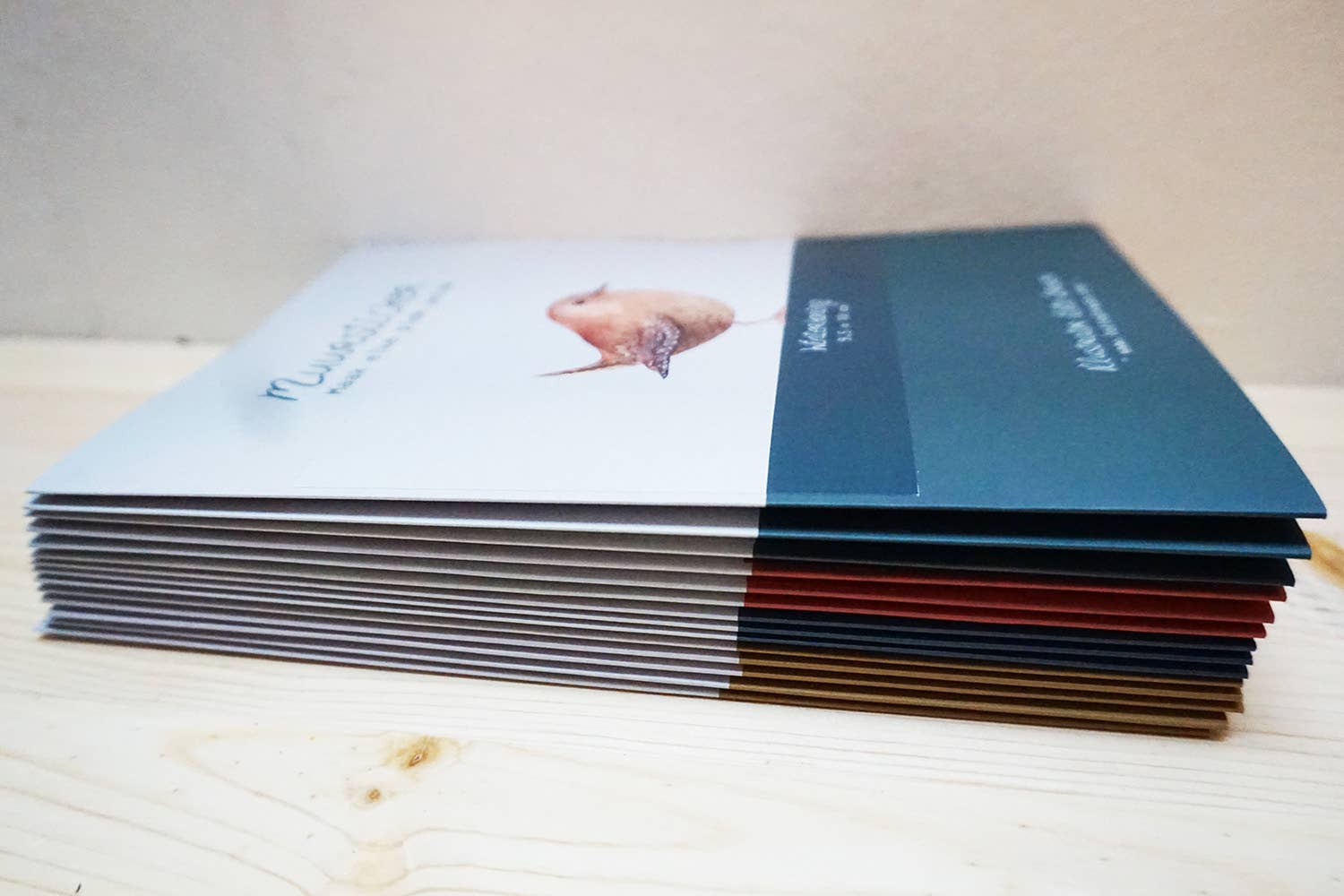 Lotte Drouen - Wholesale Wall Decal/Stickers - Wall sticker squirrel7