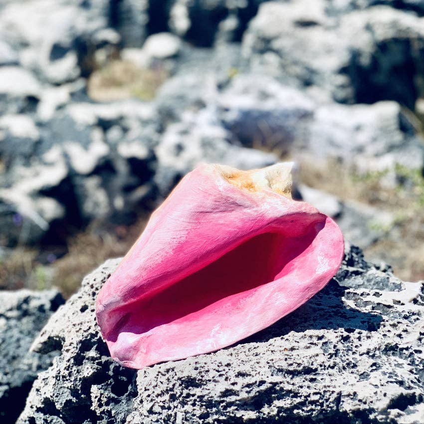 PINK PAMPAS - Wholesale Decorative Tabletop Object - Mexican handmade papier mache decoration Conchiglia2