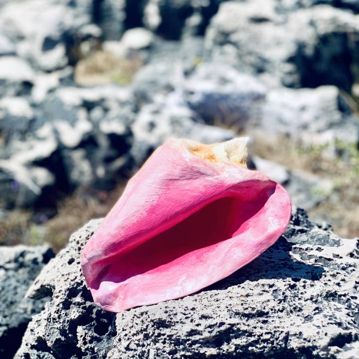 PINK PAMPAS - Wholesale Decorative Tabletop Object - Mexican handmade papier mache decoration Conchiglia2