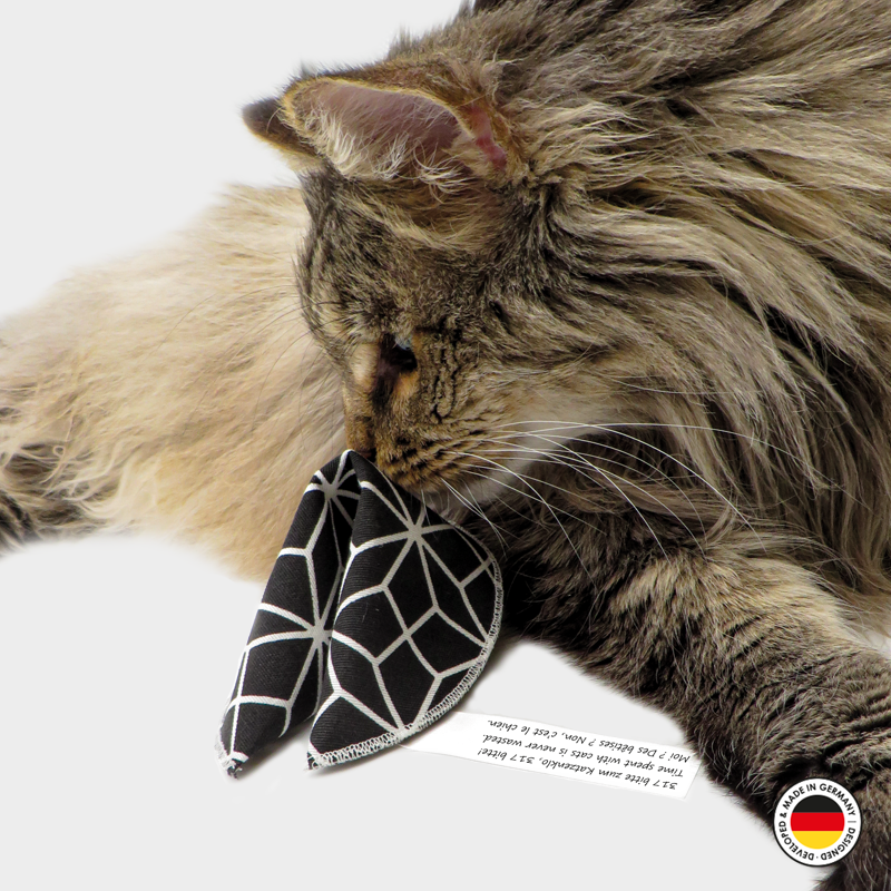 4cats Heimtierbedarf GmbH - Vente Jouet – chat - 4cats Fortune Cookie à la valériane - Lot de 9 pièces11