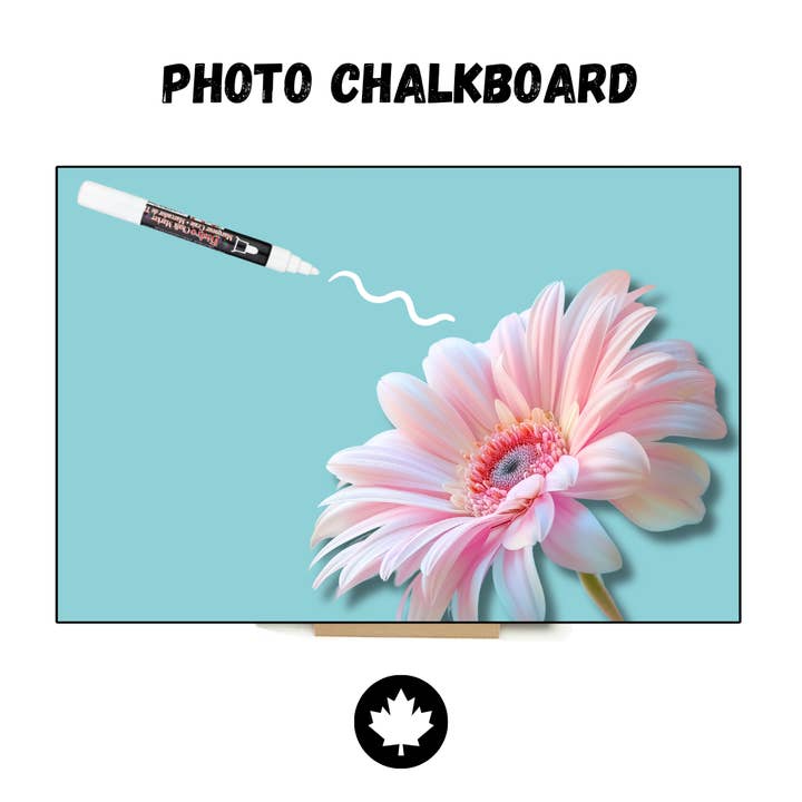Pink Gerbera - Jeannie B Photo Chalkboard for wholesale by JEANNIE B