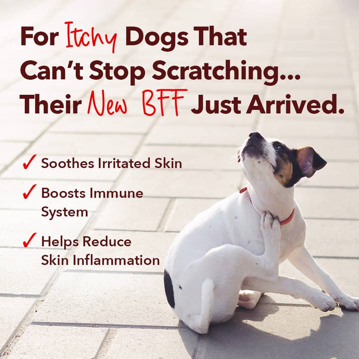 iHeartDogs.com – wholesale Pet supplement – Dog – iHeartDogs Allergy & Itch Relief Chews for Dogs with Salmon Oil, Quercetin, Colostrum, Antioxidants and Probiotics — 90 Count - Faire1