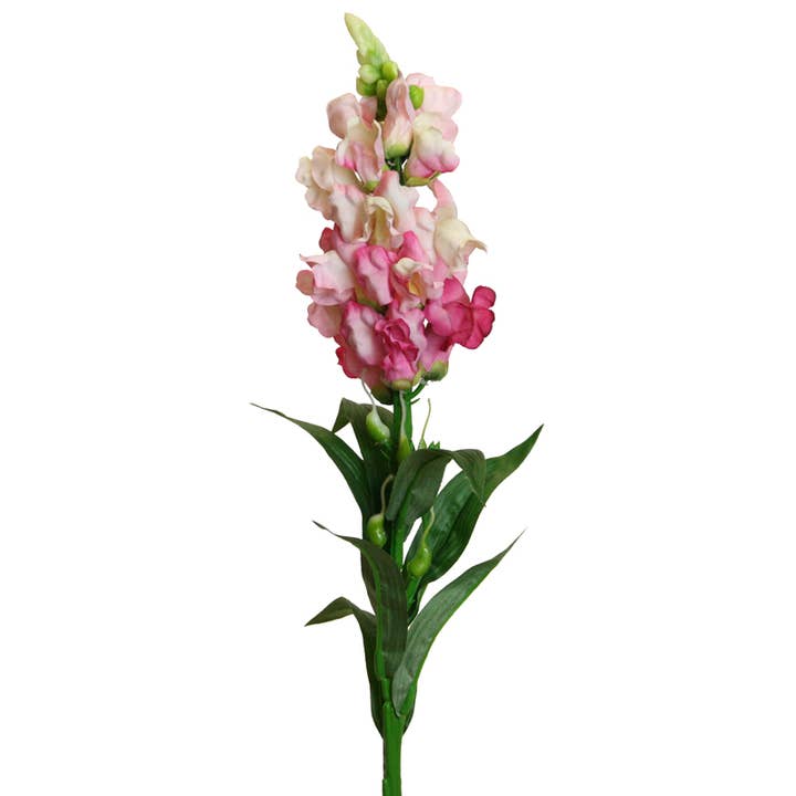 Bocca di leone 59 cm rosa per la vendita all'ingrosso da parte di Floratexx