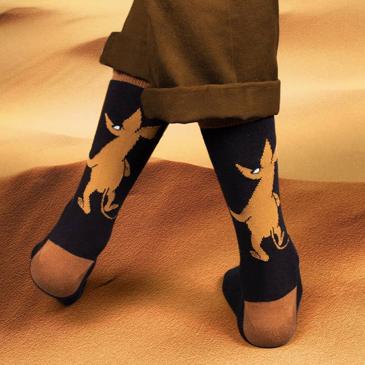 Nordicbuddies - Vente Chaussettes – homme - Chaussettes Sniff Wondering pour homme, noires2