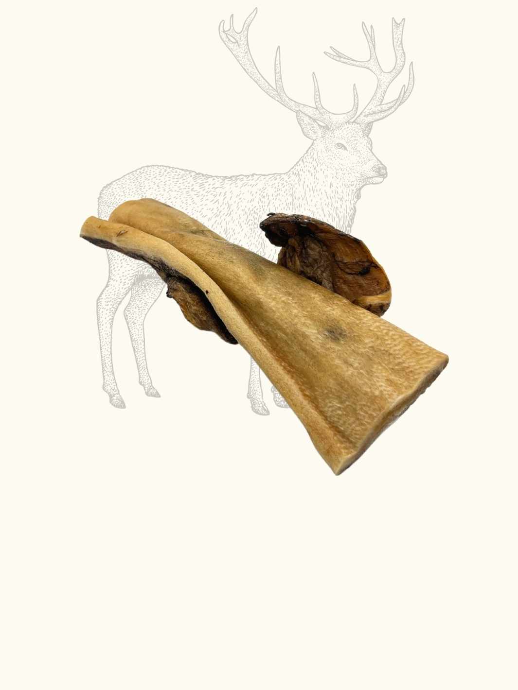 Truffe Délice - Wholesale Pet Treats - Dog - Deer skins2