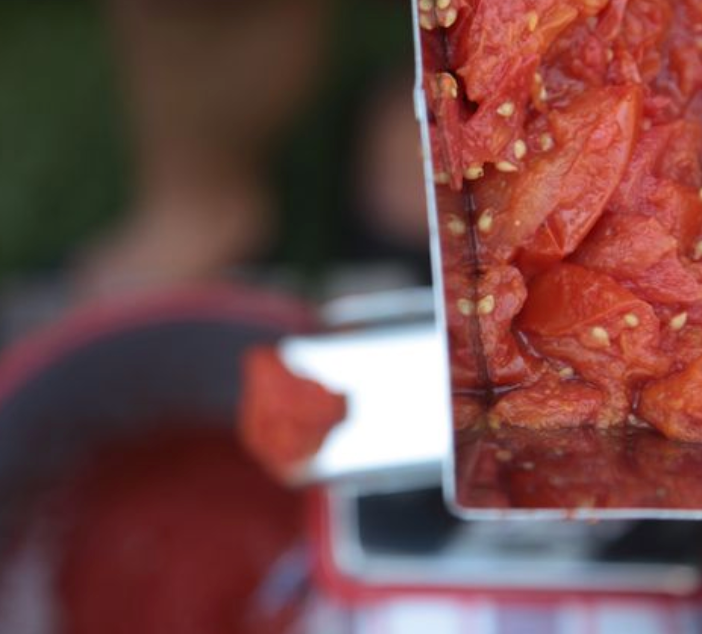 Little Veggie Patch Co - Vente Graines de plantes - Graines anciennes de tomate 'San Marzano'3