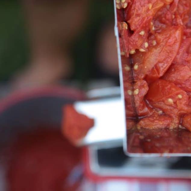 Little Veggie Patch Co - Wholesale Plant Seeds - Tomato 'San Marzano' Heirloom Seeds3