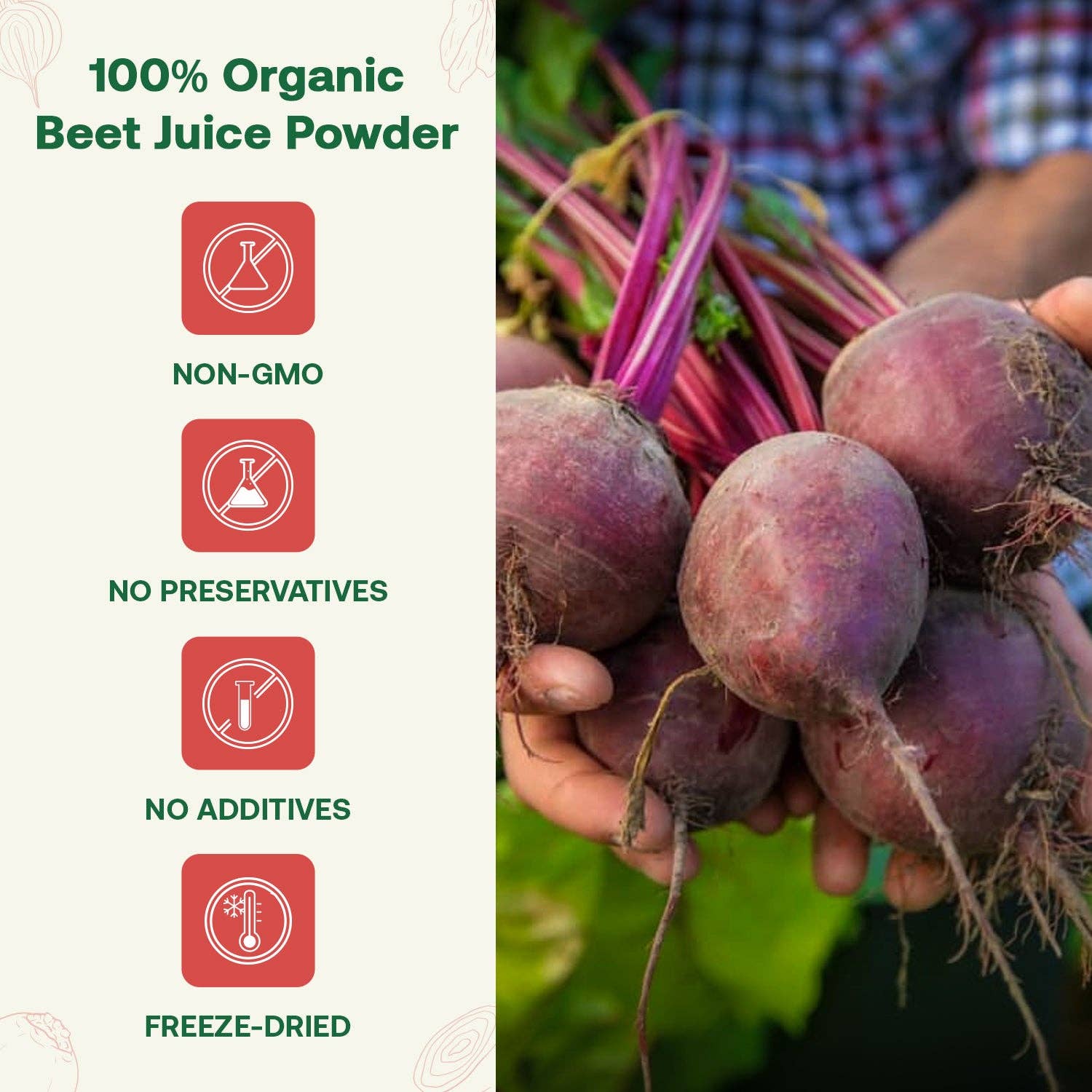 Quay Naturals - Wholesale Protein/Superfood Powder - Organic Beet Juice Powder1