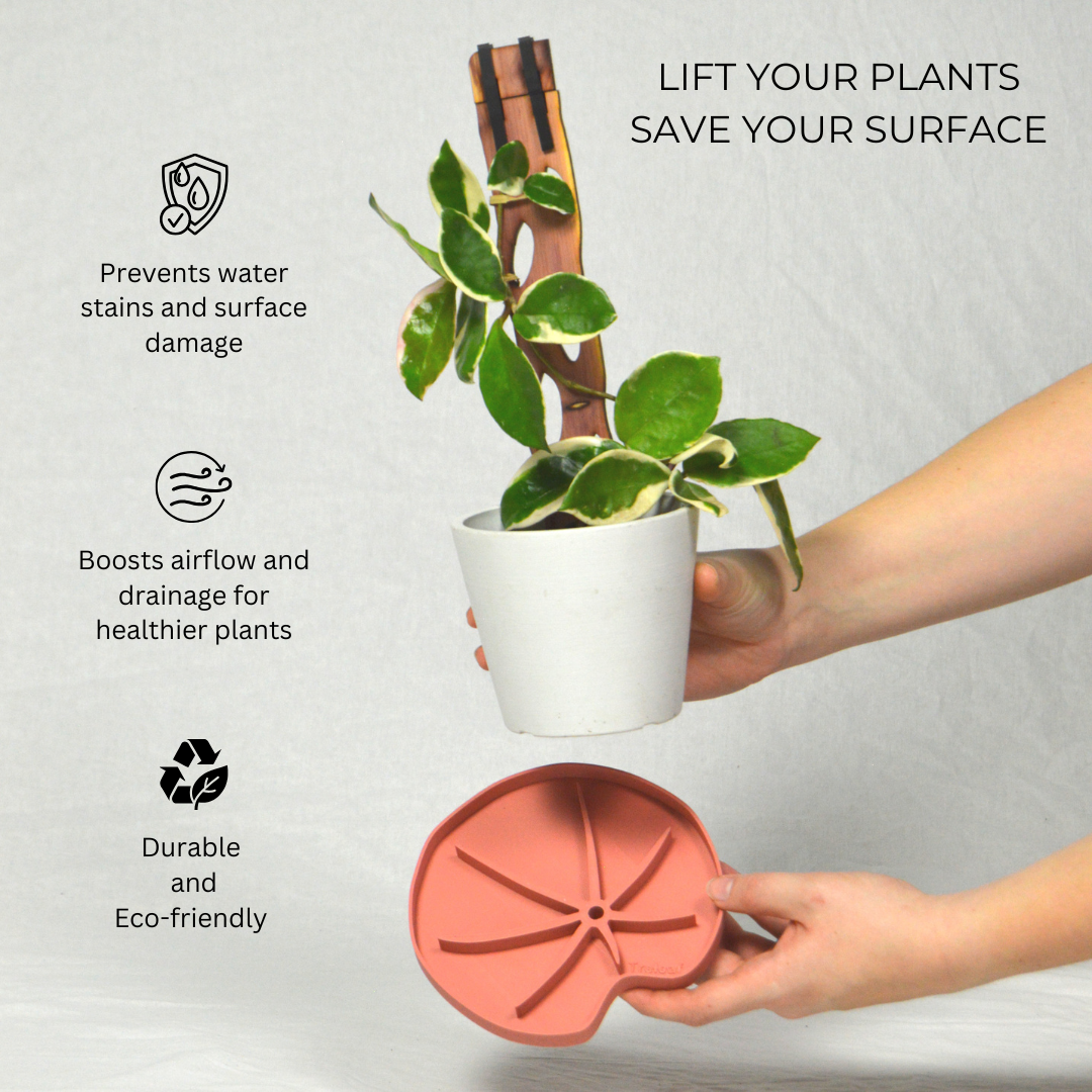 Treleaf - Wholesale Plant pot - Lili Sausr - Lilly pad shaped Saucer - Spill tray - Drip tray for houseplants - Humidity tray3