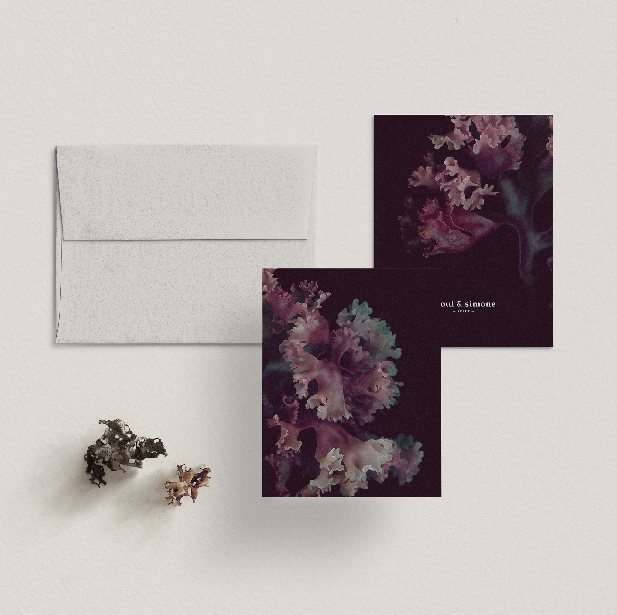 Raoul & Simone - Wholesale Everyday greeting card - Greeting Card / Chondrus Crispus2