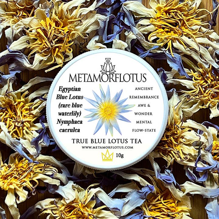 METAMORFLOTUS – wholesale Löst te – Egyptisk äkta blå lotusblomma te