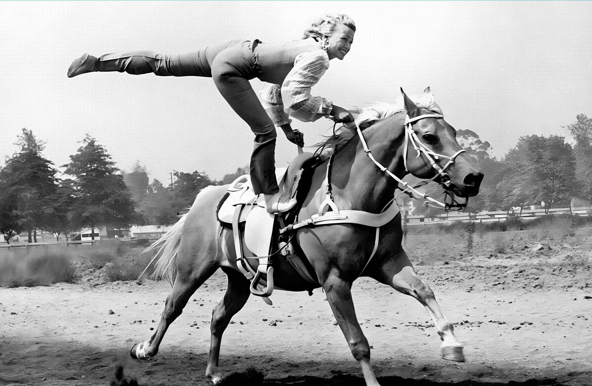 TAYLOR GRAY - Wholesale Decorative Tray - 11x17 WESTERN LOVE insert set of 106