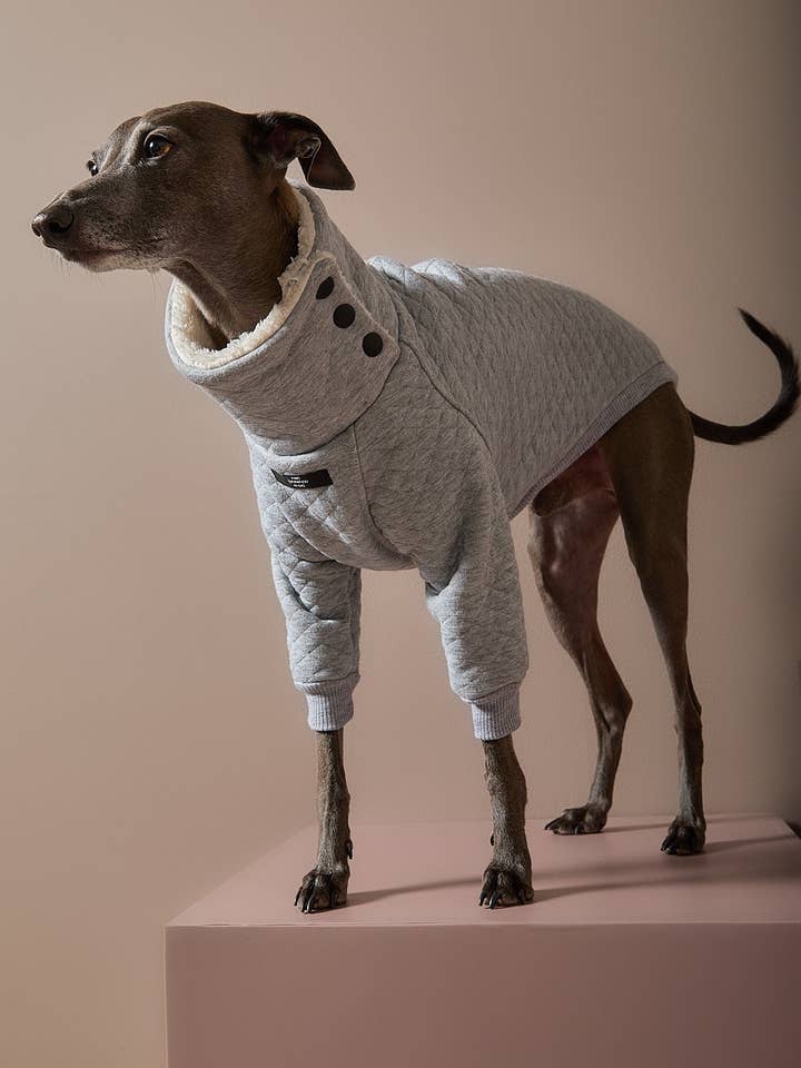 Italienisches Windspiel / Whippet Grauer Gesteppten Pullover OSLO für den Großhandel von The Striped Dog
