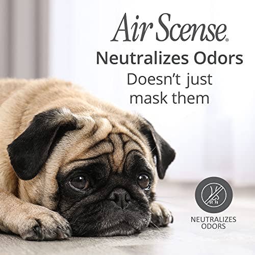 Citra Solv - Wholesale Air Freshener - Air Scense - Orange