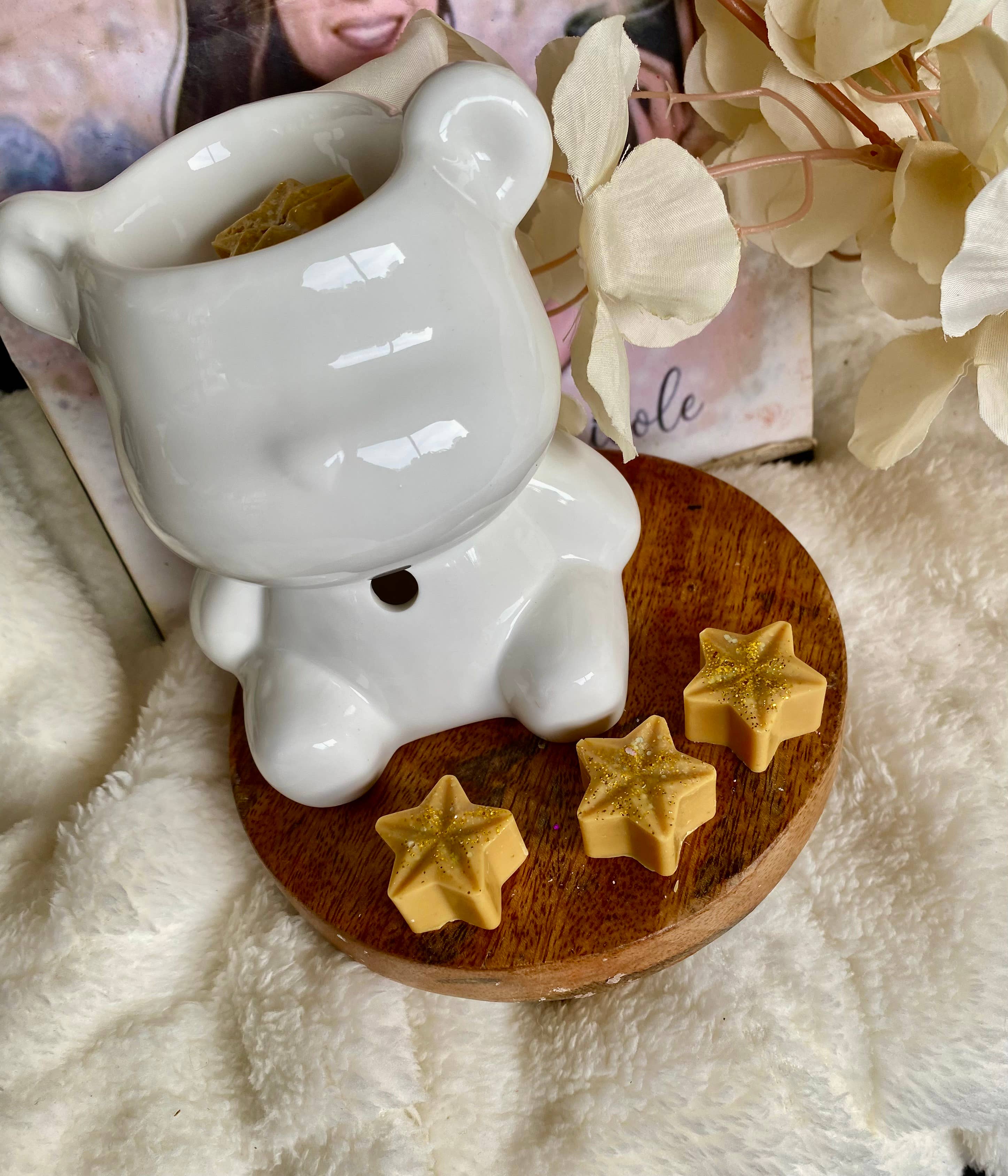 Les folies de Nicole - Wholesale Wax Melt - 🌟Gourmet Shooting Stars1