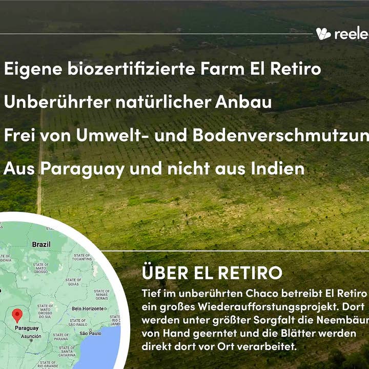 reeleef – Großhandel Nahrungsergänzungsmittel/Vitamin zum Einnehmen – Vegane Neem Kapseln mit reinem, hoch qualitativem Neempulver3