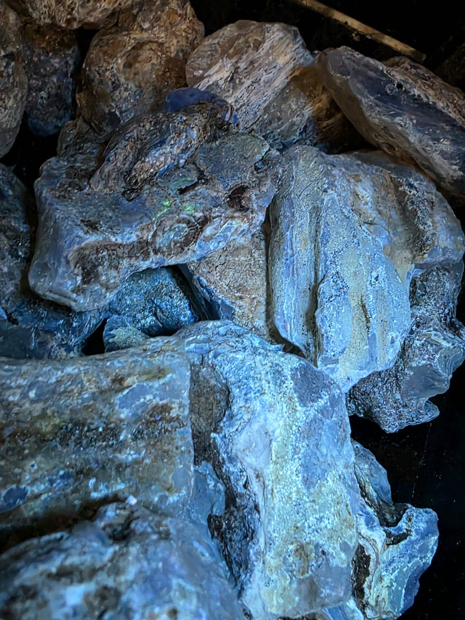 Distinction Crystals - Wholesale Spiritual Stone/Crystal - African Sub Fossil Copal7