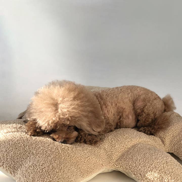 Pets So Good - Wholesale Pet Bed - Cat/Dog - BEAR CUSHION . BROWN1