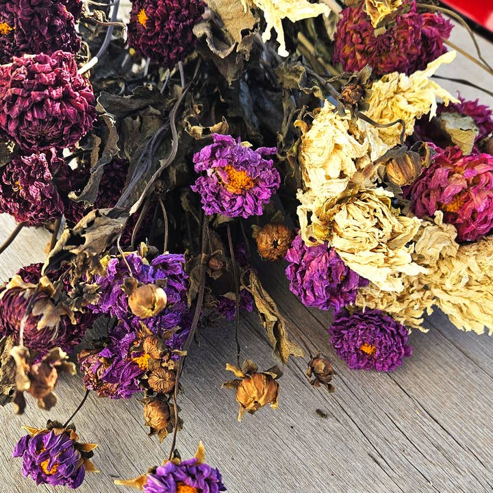 Alissas Flower Farm - Wholesale Dried/Pressed Flowers - Dried Dahlias