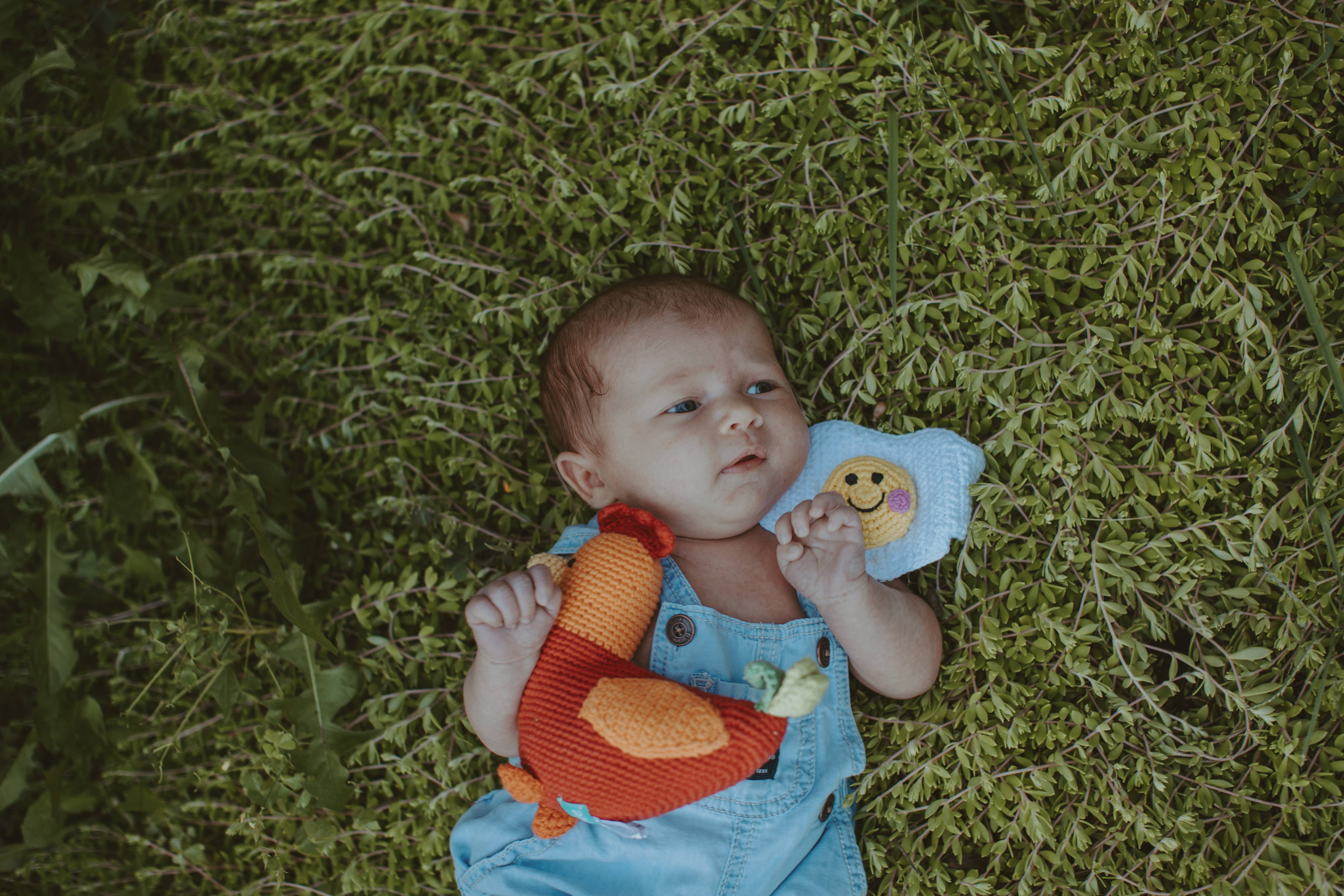 Pebblechild – wholesale Handheld rattle – Baby – Crochet Baby Toy Rooster rattle-red1