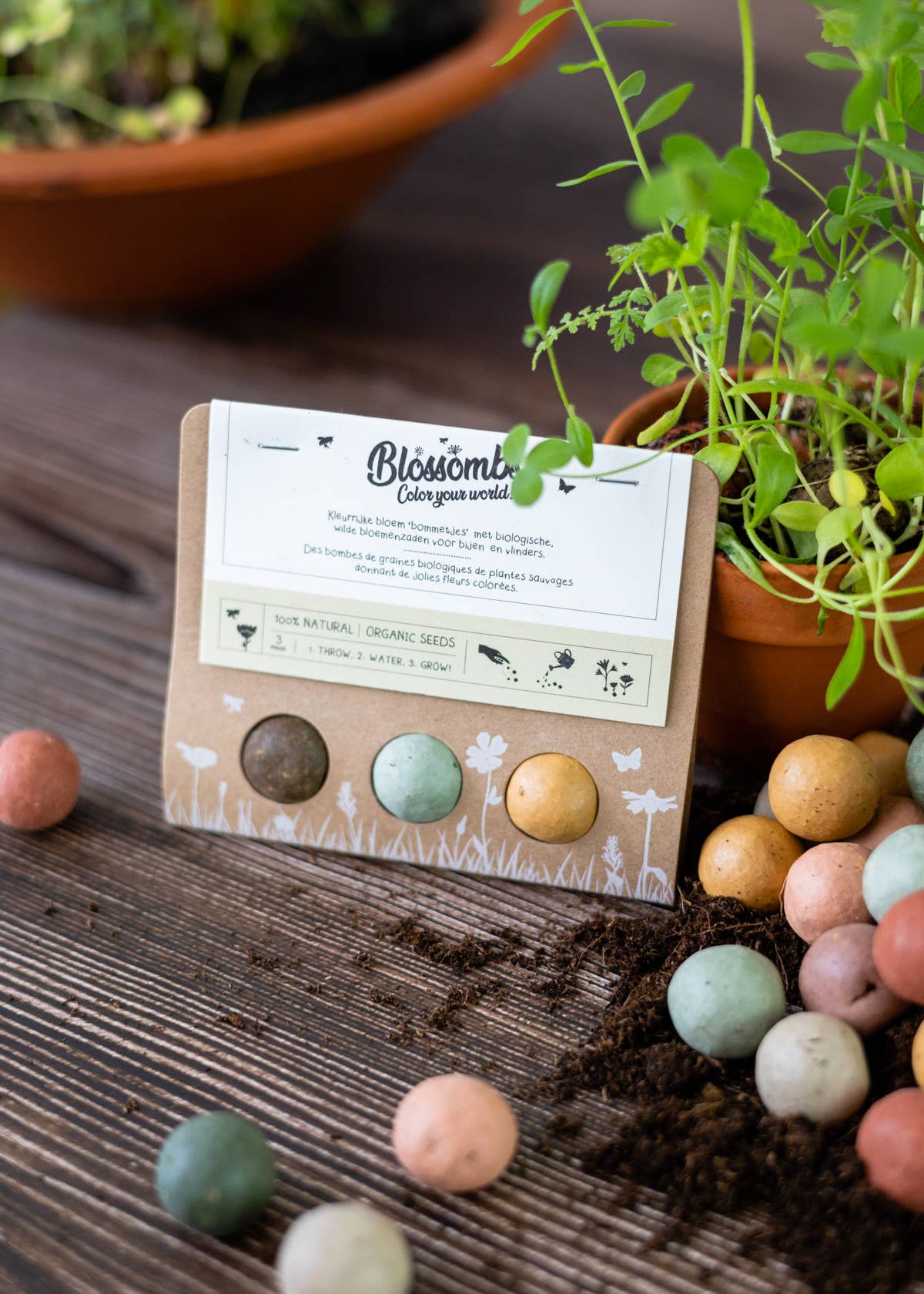 Blossombs - Vendita all'ingrosso Semi di piante - Confezione regalo con 3 bombe di semi Blossombs5