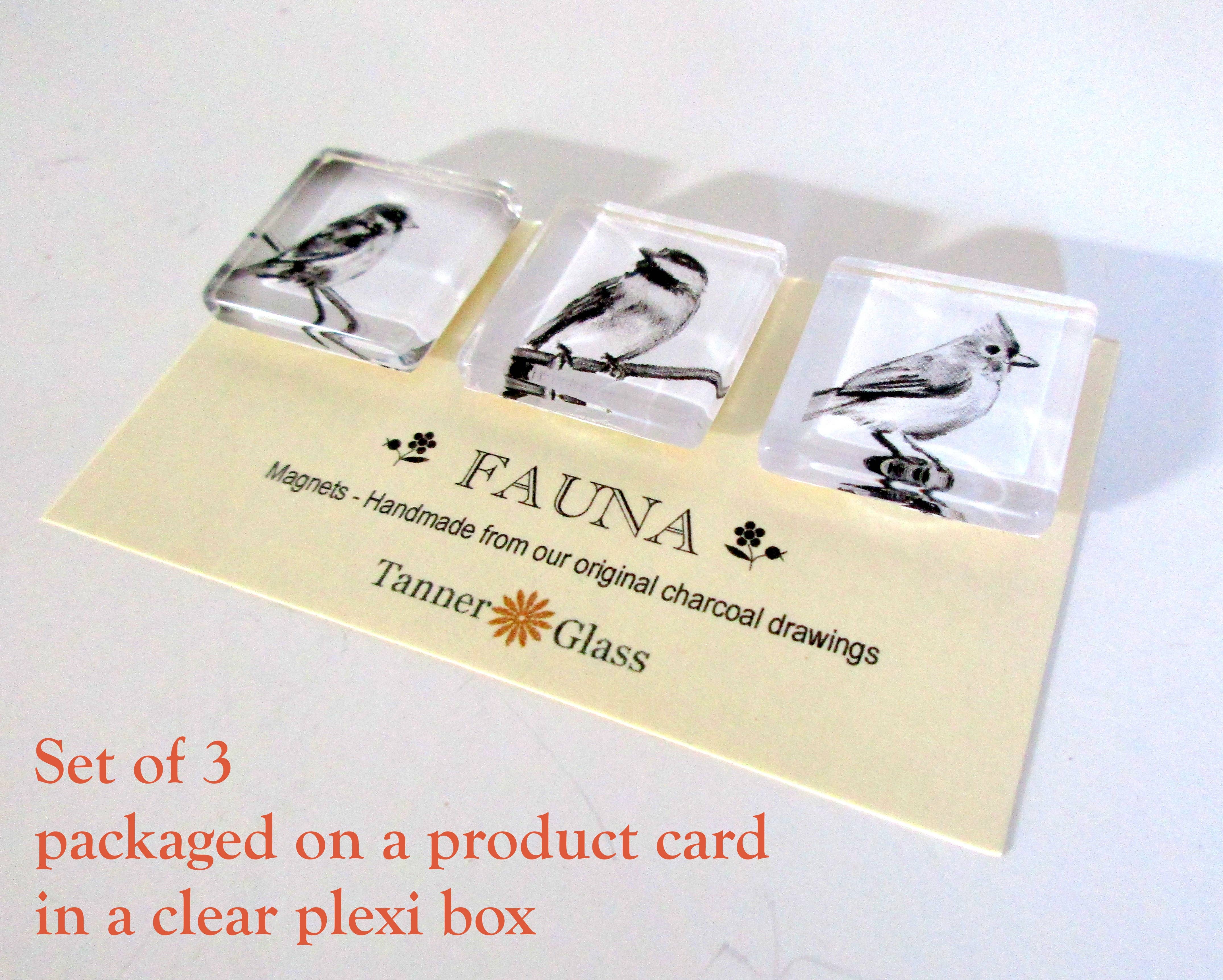 Tanner Glass - Wholesale Magnet - Magnets - Fauna Collection- 1" square, you choose the images3