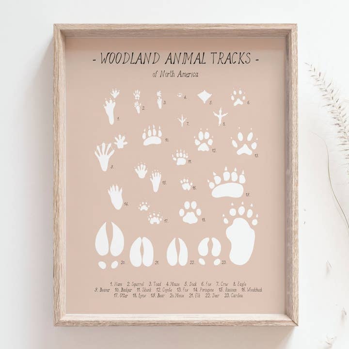 Illustration de traces d'animaux des bois/Impression giclée à la main pour la vente par Bleu Marie Artwork