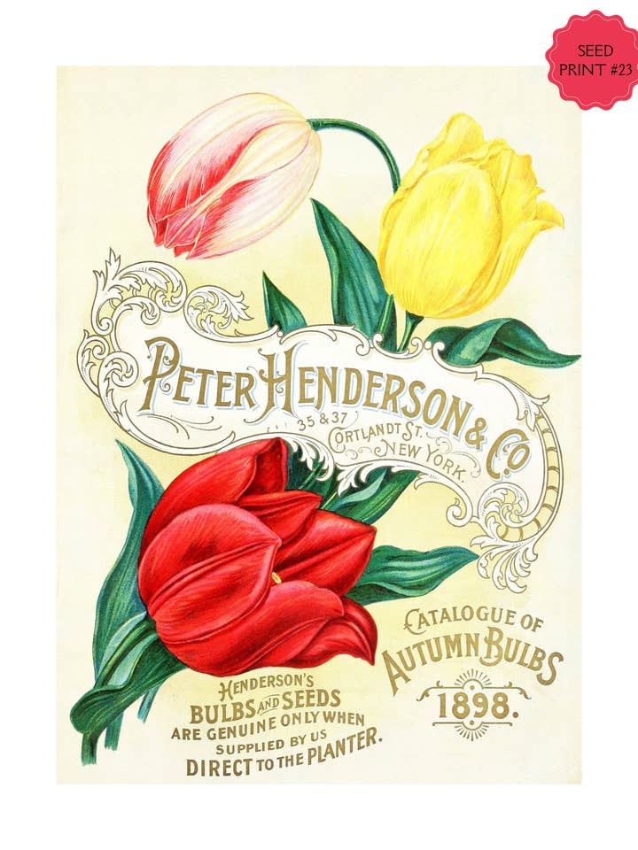 VINTAGE SEED PACKET ART PRINT #23 for wholesale by Soraya Moon Co.