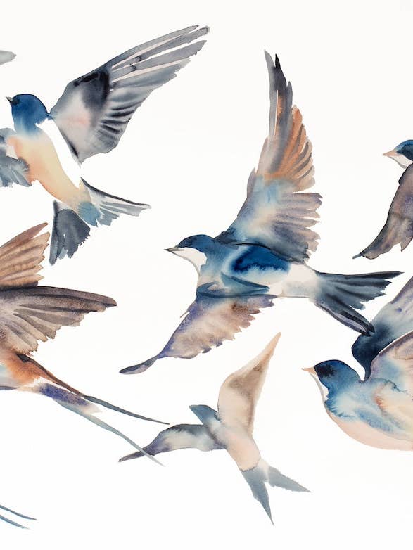 Golondrinas en Vuelo N.º 47 para venta al por mayor de Elizabeth Becker
