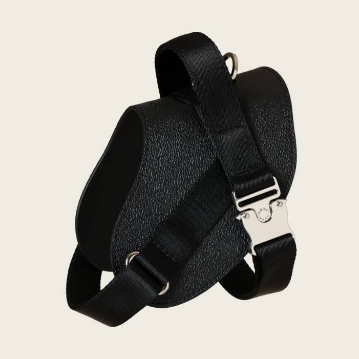 Saddle Harness - Black for wholesale by Hozi