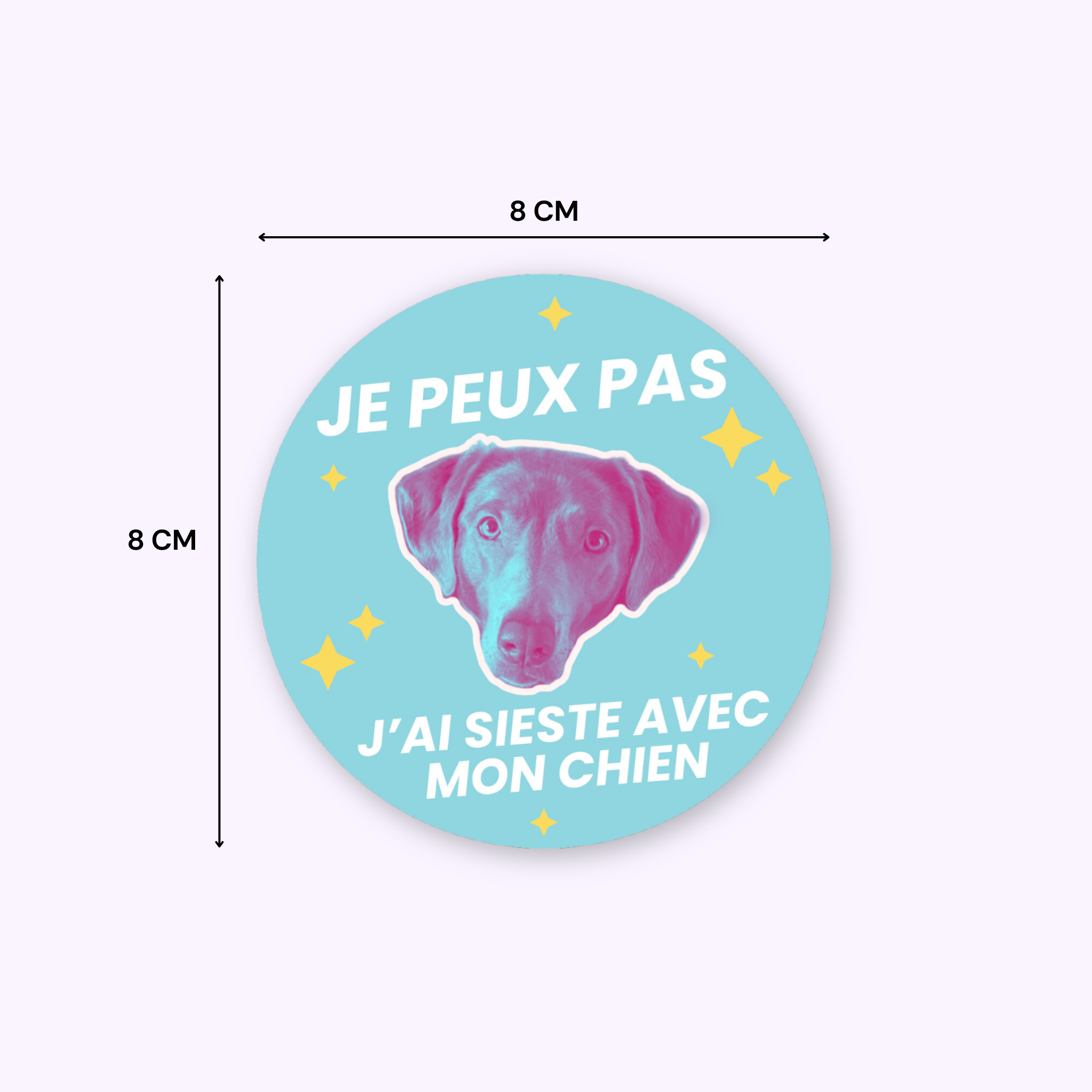 SUPERNOVA & CO - Wholesale Sticker - Humorous Dog Sticker: I Nap With My Dog4