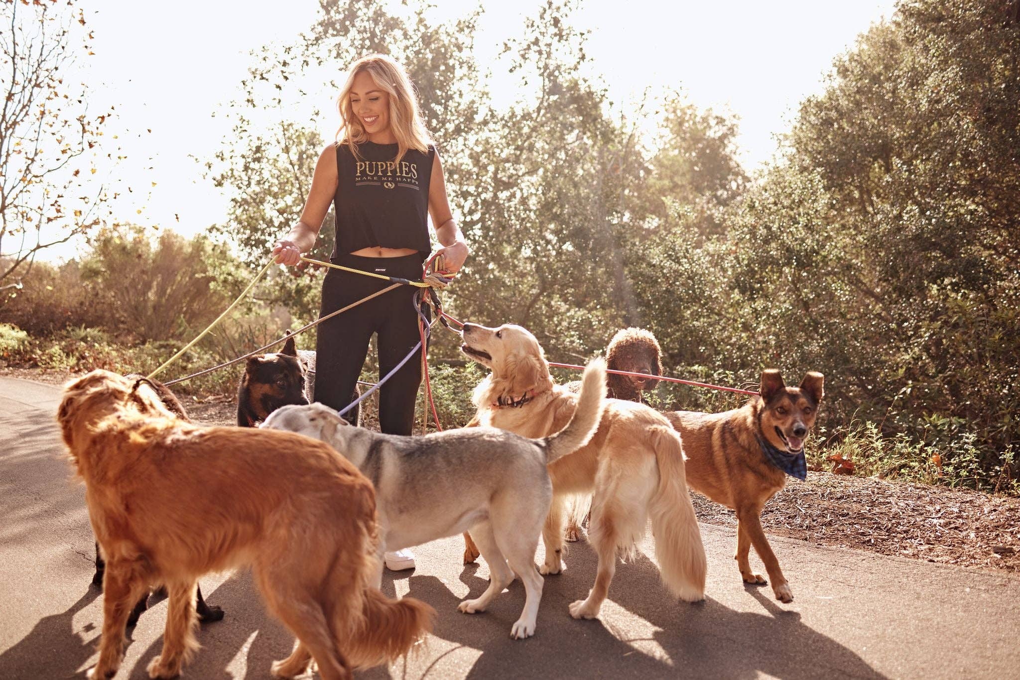 NERO Rodeo | Top corto in vendita all'ingrosso su Faire1