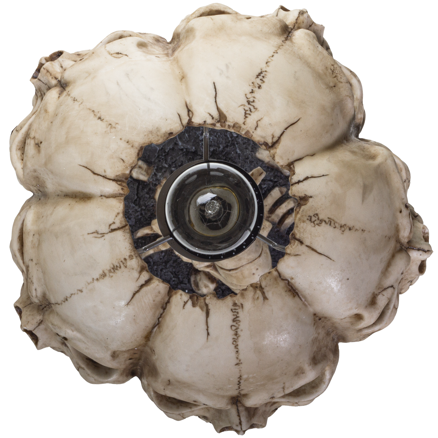 Pacific Trading – wholesale Accent/desk lamp – Skull Lamp7