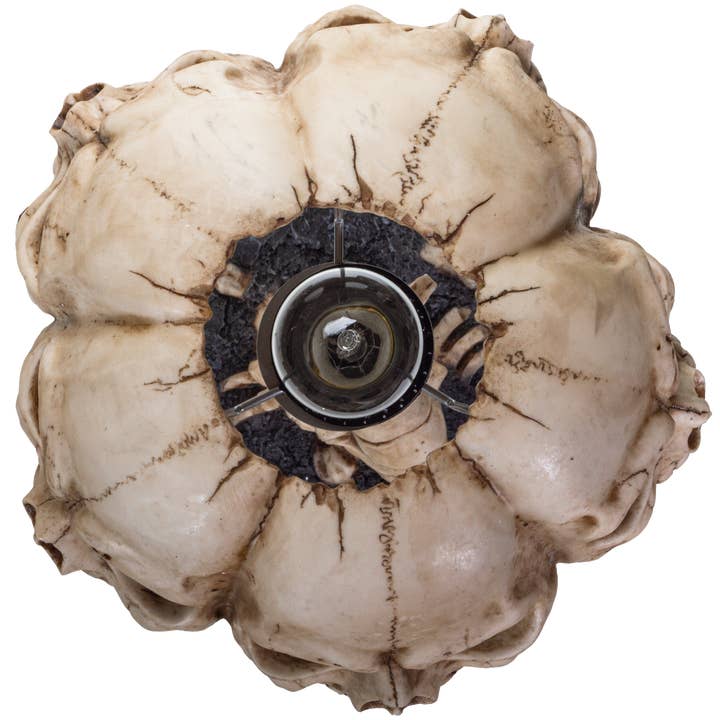 Pacific Trading - Wholesale Accent/Desk Lamp - Skull Lamp7