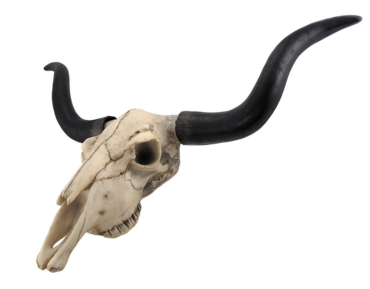Zeckos - Wholesale Wall Accent - Long Horn Cow Skull Wall Hanging Longhorn Steer 27.5 inch6