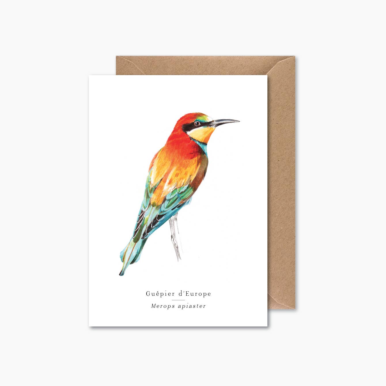 Papier Mirage - Wholesale Everyday Greeting Card - Bee-eater0