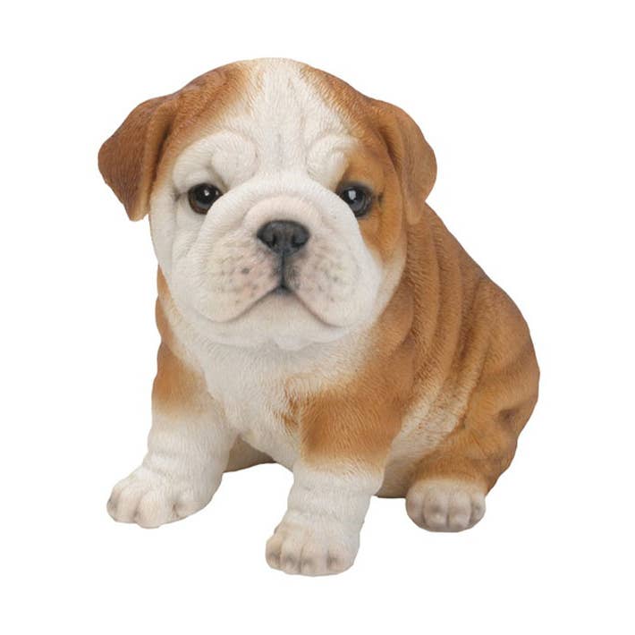 Pet Pals: Bulldog Puppy Statue for wholesale by Hi-Line Gift Ltd.