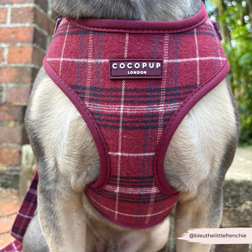 Cocopup London - Wholesale Pet Harness - Dog - Mulberry Plaid Adjustable Neck HARNESS4