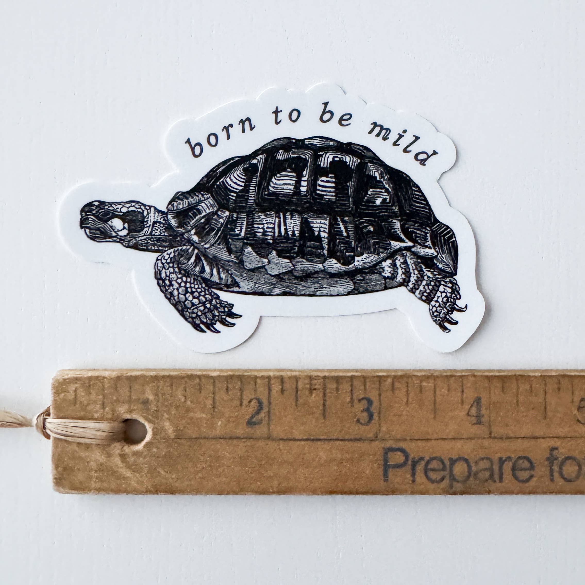 Kinsfolk Stickers - Wholesale Sticker - Born to be Mild Tortoise Vinyl Sticker 1