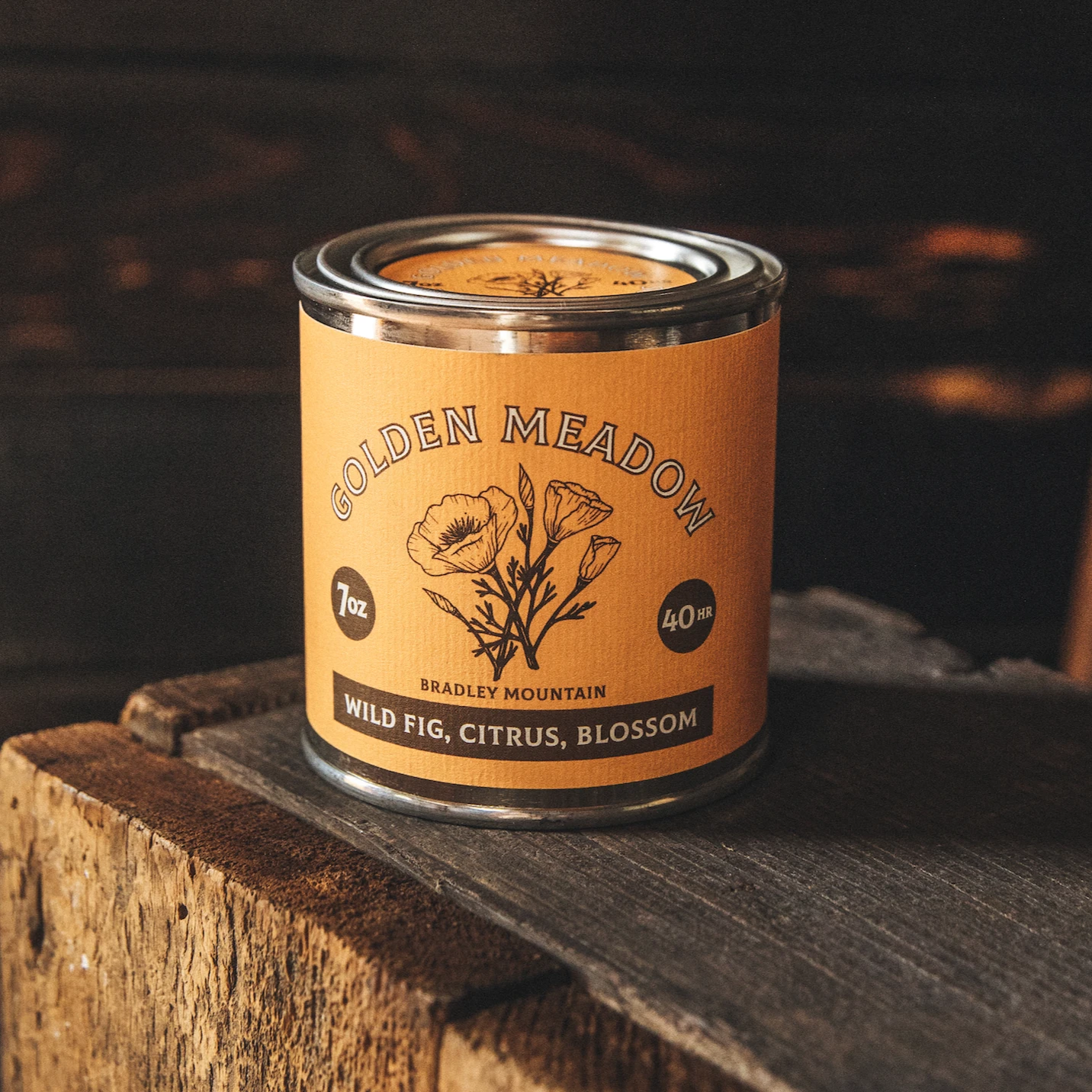 Bradley Mountain - Wholesale Travel Candles - Golden Meadow Travel Candle1