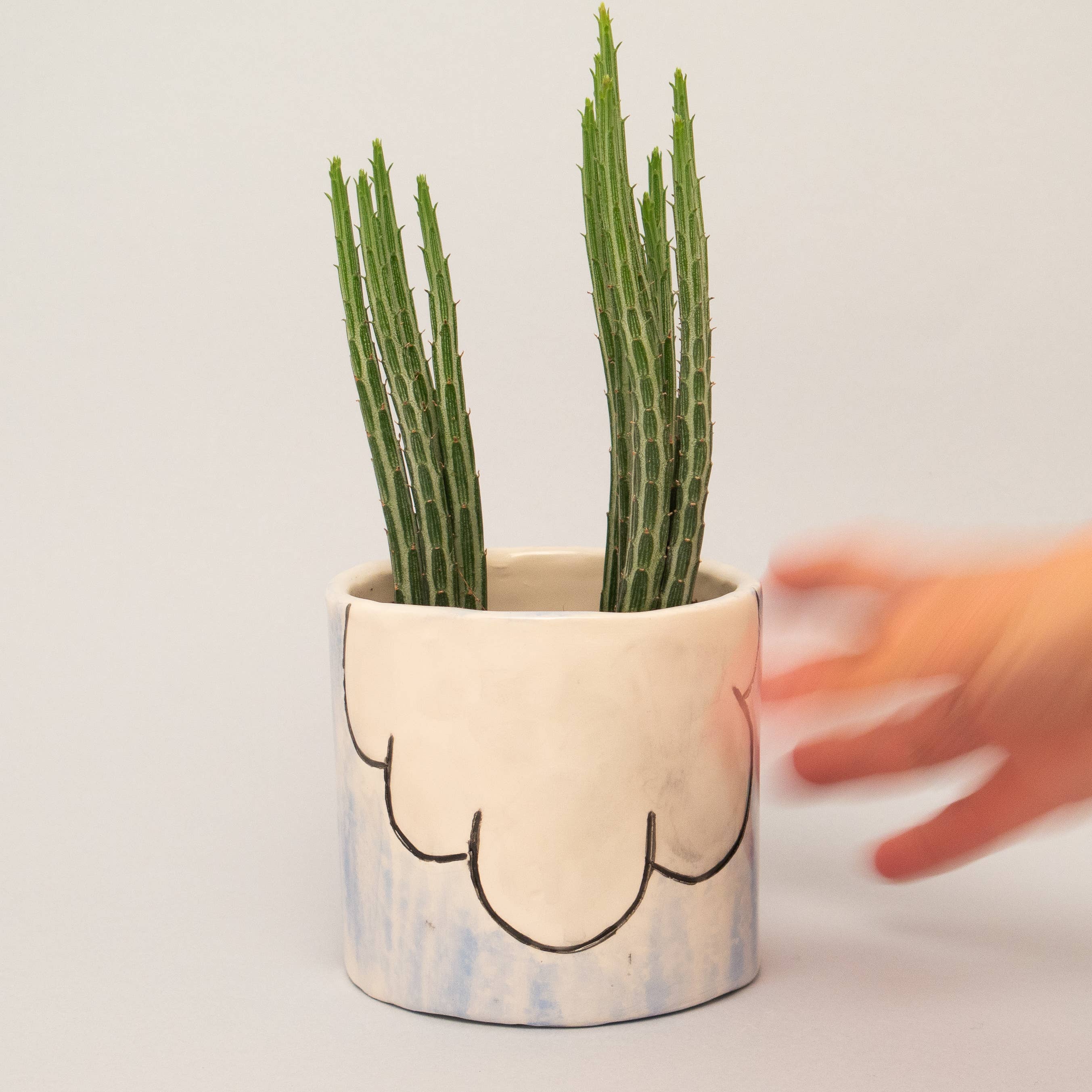 Paulina Marra Ceramics - Wholesale Plant Pot - Pi Pan: Handmade Medium Ceramic Planter3