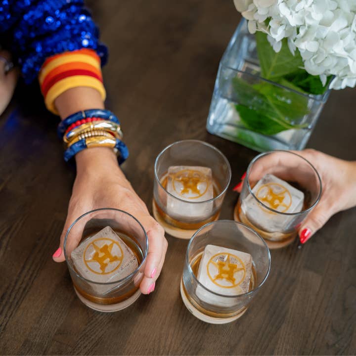 rOks - Wholesale Ice Tray/Mold - Astros Bundle3