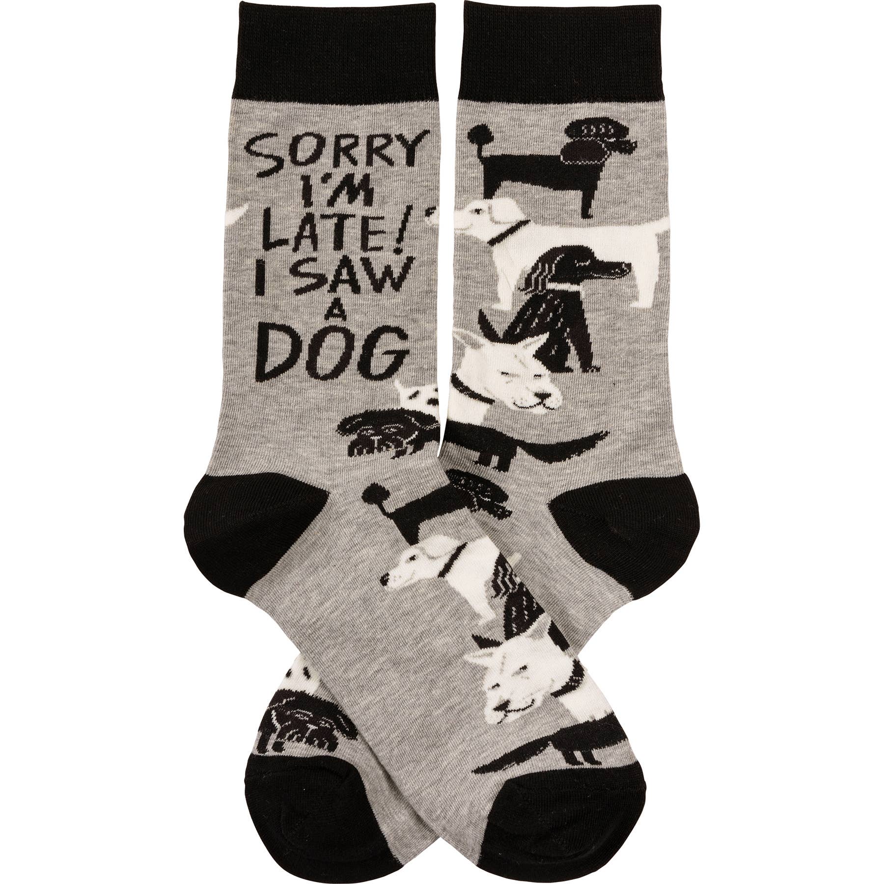 Primitives by Kathy - Wholesale Socks - Unisex - Sorry I'm Late I Saw A Dog Socks2